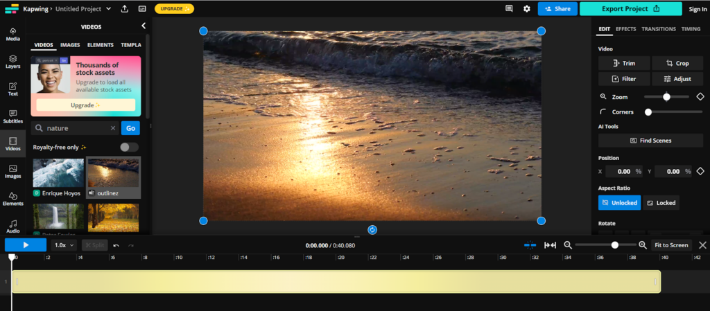 Kapwing video editor preview image